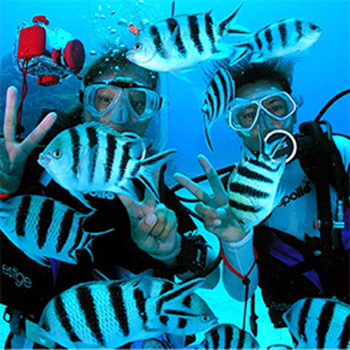 PADI Continuing Education Package 2